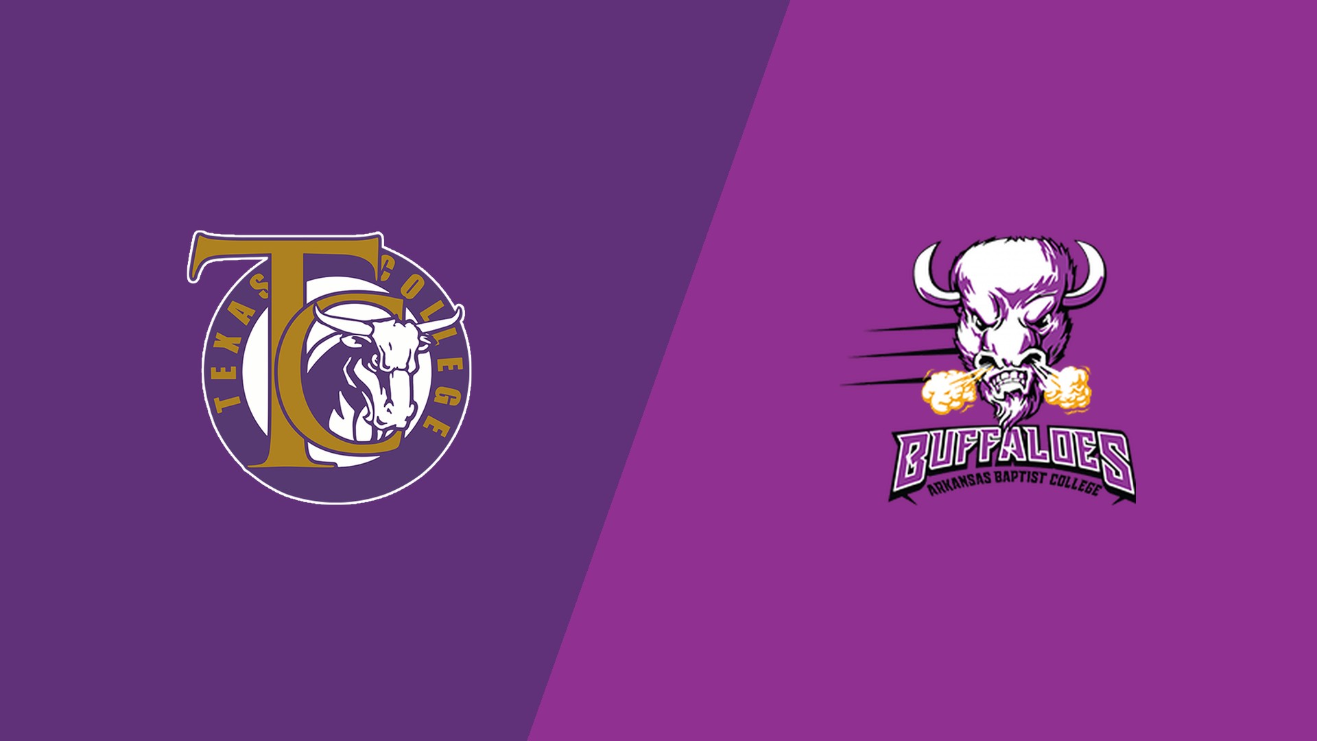 CFB: Texas College vs. Arkansas Baptist
